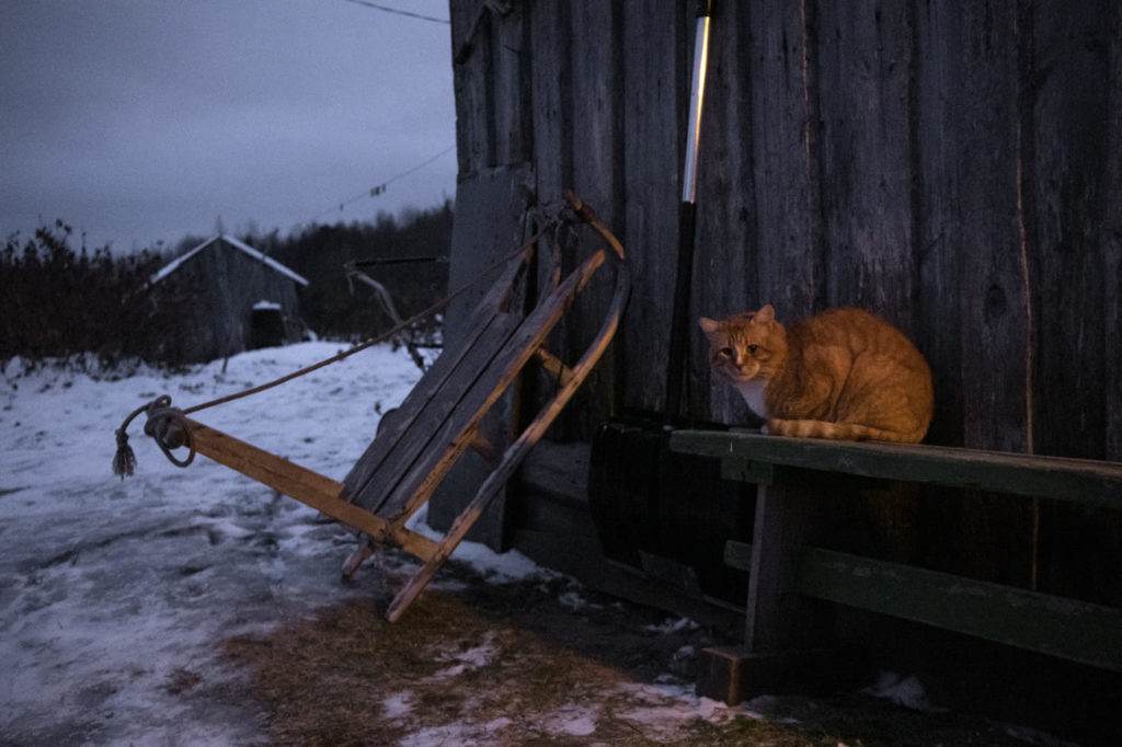 Фото: Наталья Лозинская для НВ