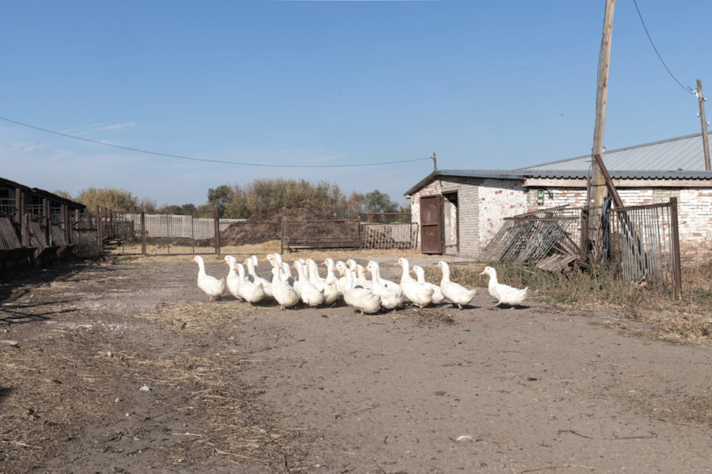 Фото: Анастасия Пентюхина для НВ